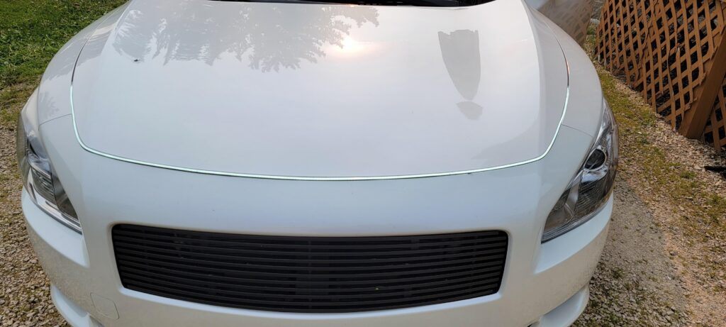 Image #1 from SHANNON SNYDER