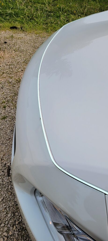 Image #2 from SHANNON SNYDER