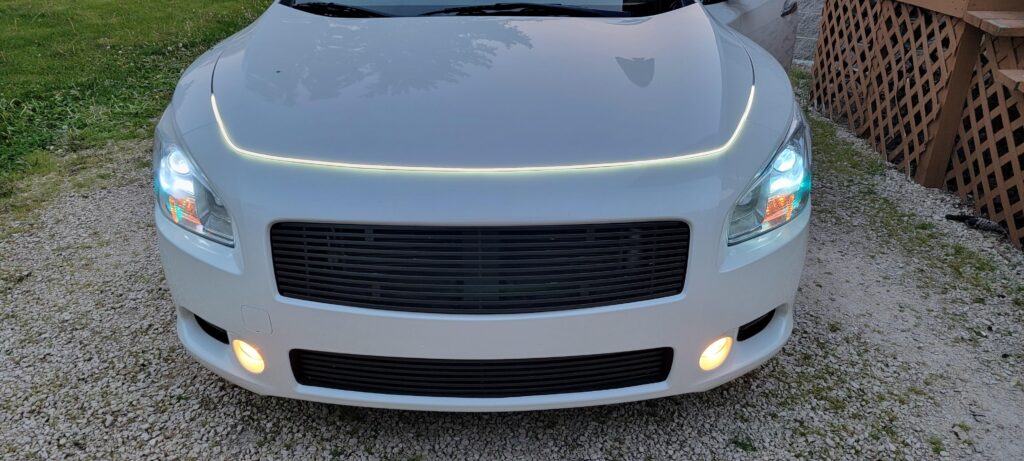 Image #3 from SHANNON SNYDER